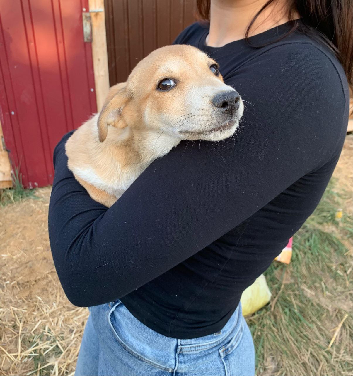 Юрий Баранчик: Если вы верите в добро – этот пост для вас