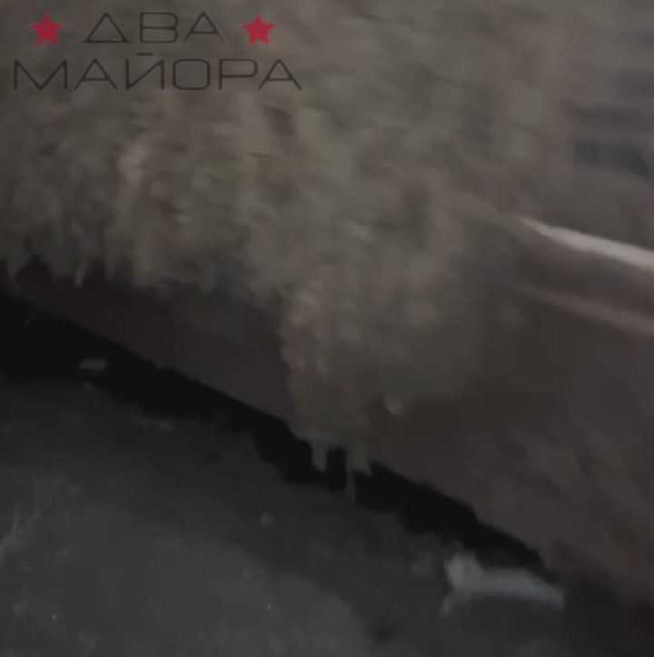 ��� ������: ����������� �����. ������� ����� ������������ ������� � �������, ������� �� ����������� � ������ 23 ���� ��� ������� 42-� ����������� �������������� �������