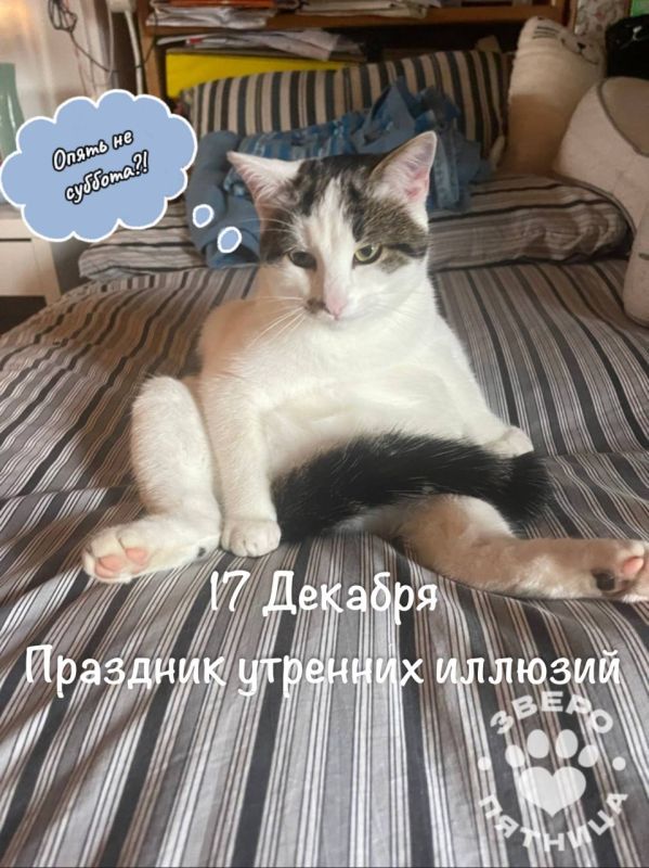 ��� ��������� ��� ����� �����������, ����� �������, ��� ������� �� ������� ��: � ��������, � ������� �����, � ������ ����, � �������� ����������