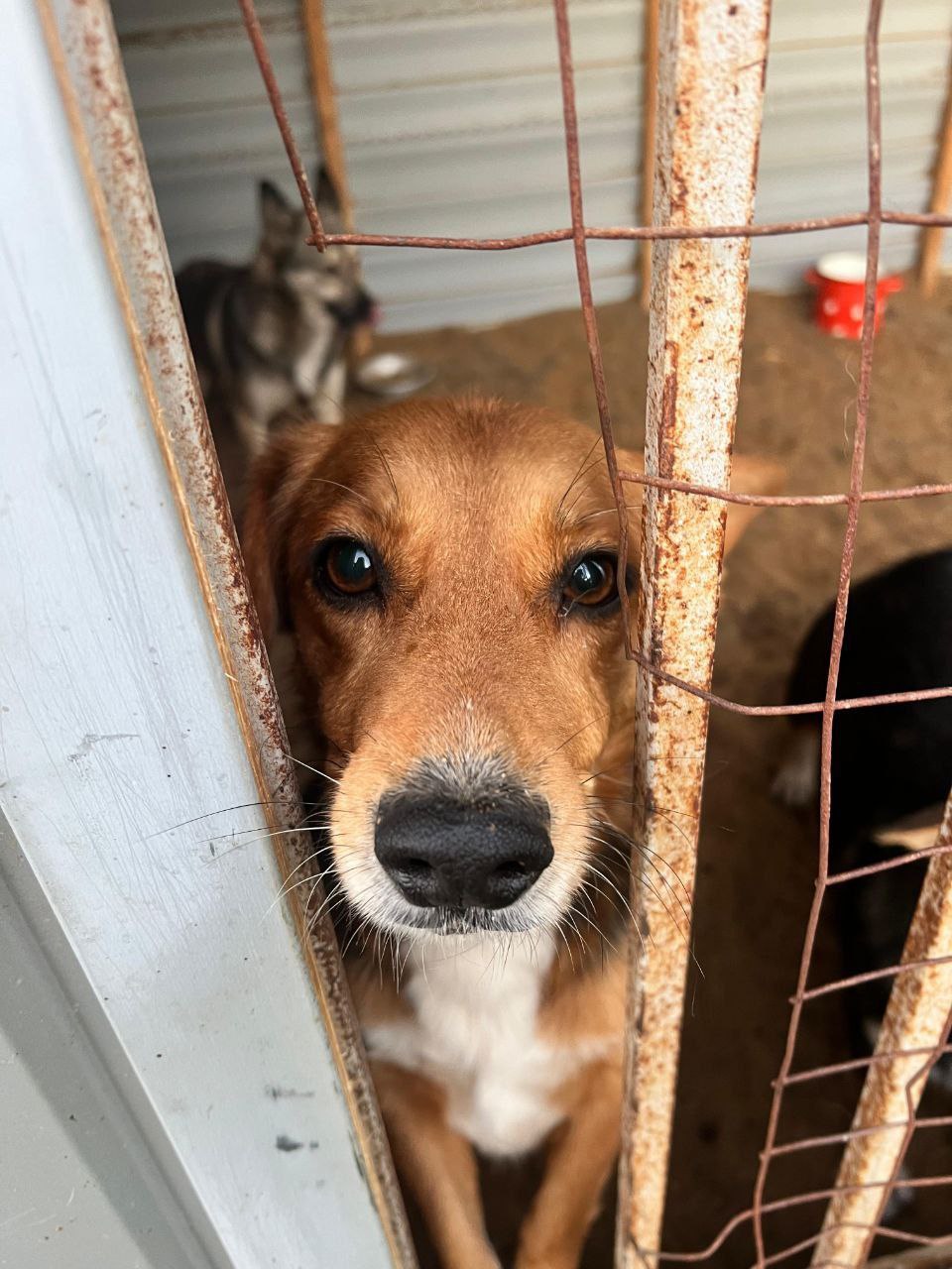Юрий Баранчик: Если вы верите в добро – этот пост для вас Юрий Баранчик: Если вы верите в добро – этот пост для вас