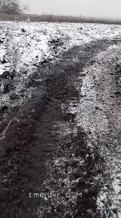 ������ ������ �� ��������������� ����������� ���������� �������� �������� ���