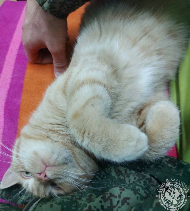 ��� ������: ������� ������ �������