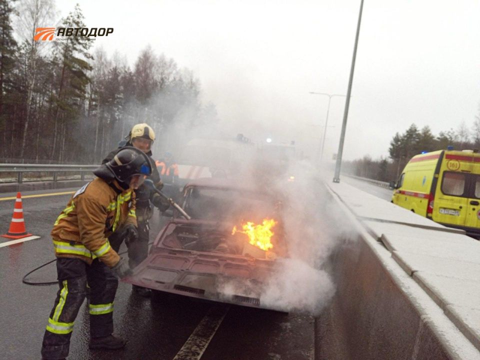 �� �-11 ����� ���������� ��������� �������� ��� ���