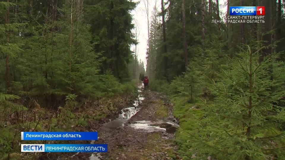 "���� � ������ ���": � ���������� ����� ������ ������ ���� ����� �������� ���������