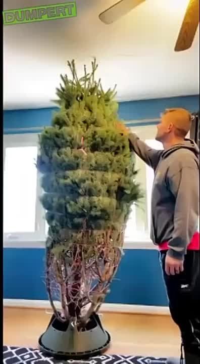 ���������� ����. �������� � MAX