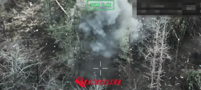 В приграничной лесопосадке был вскрыт наблюдательный пункт ВСУ