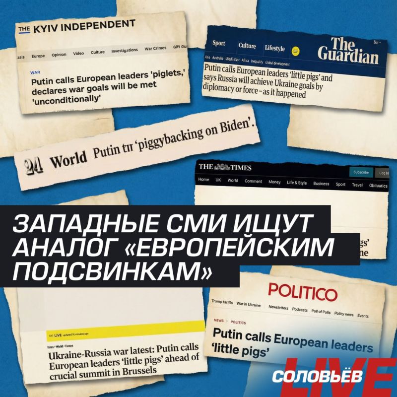 �European pigs�, �little pigs�, �piglets� � � �� ����