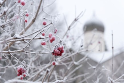 ������� ����������. ���� ������ ����� �� �����������, ������� ��������� ��� ������ ����� �������� ����