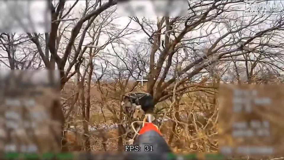 ������� - ���� �� ����!. ������ ������ ���������� ������ "�������" �� 17 ������� 2025 ���� - �������