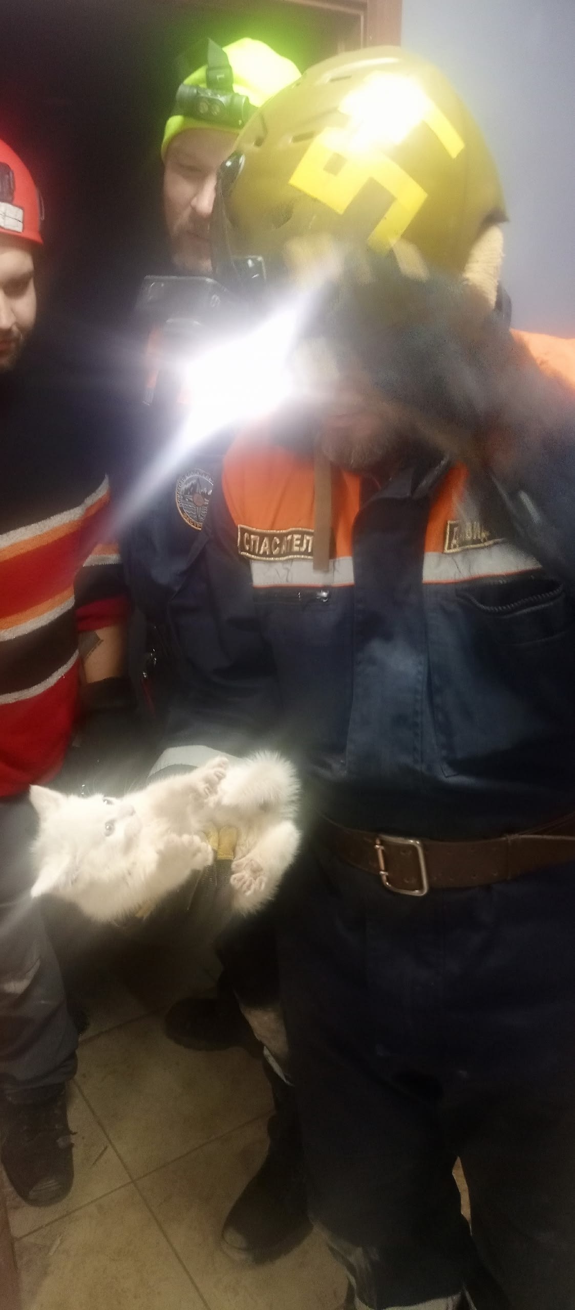 В Сертолово спасли котенка, просидевшего в стене подвала три дня В Сертолово спасли котенка, просидевшего в стене подвала три дня