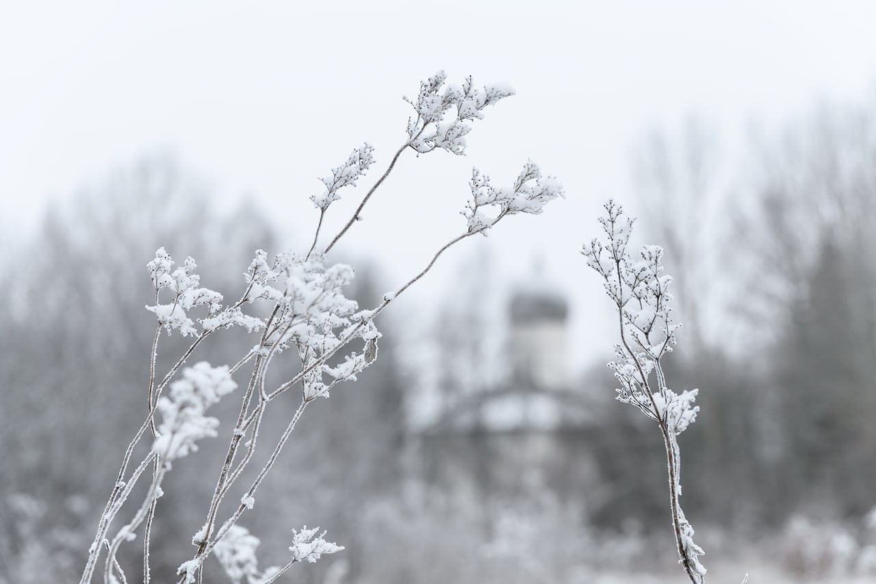 Снежная ностальгия. Пока погода никак не устаканится, хочется сохранить эти редкие кадры красивой зимы Снежная ностальгия. Пока погода никак не устаканится, хочется сохранить эти редкие кадры красивой зимы