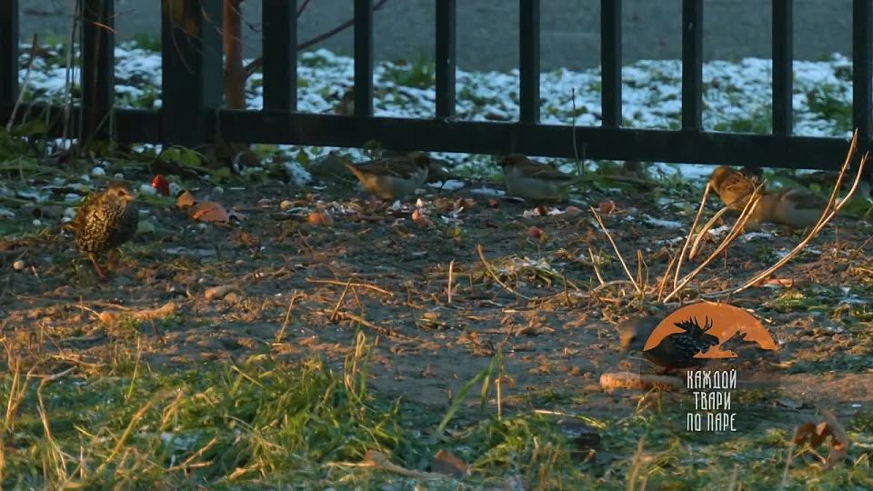 ������������� ������� ���������� ������� �� ������� � �������� ������