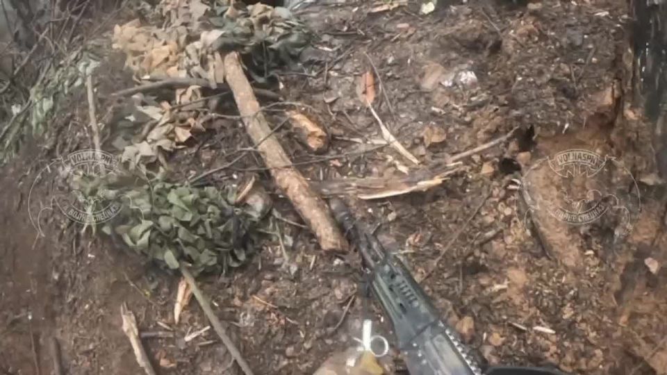 ���������� �� �������� ���� � ������ ������������ �������� ��������� ������� �����