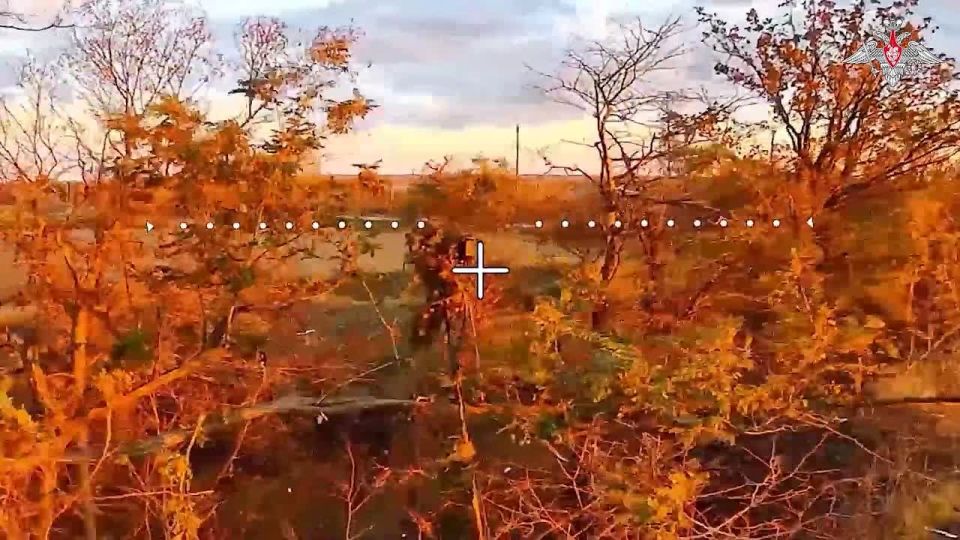 ��������� �������������� ����������� ����� � ���� ���������� ����������� ������� �������� (�� ��������� �� 18 ������� 2025 �.)