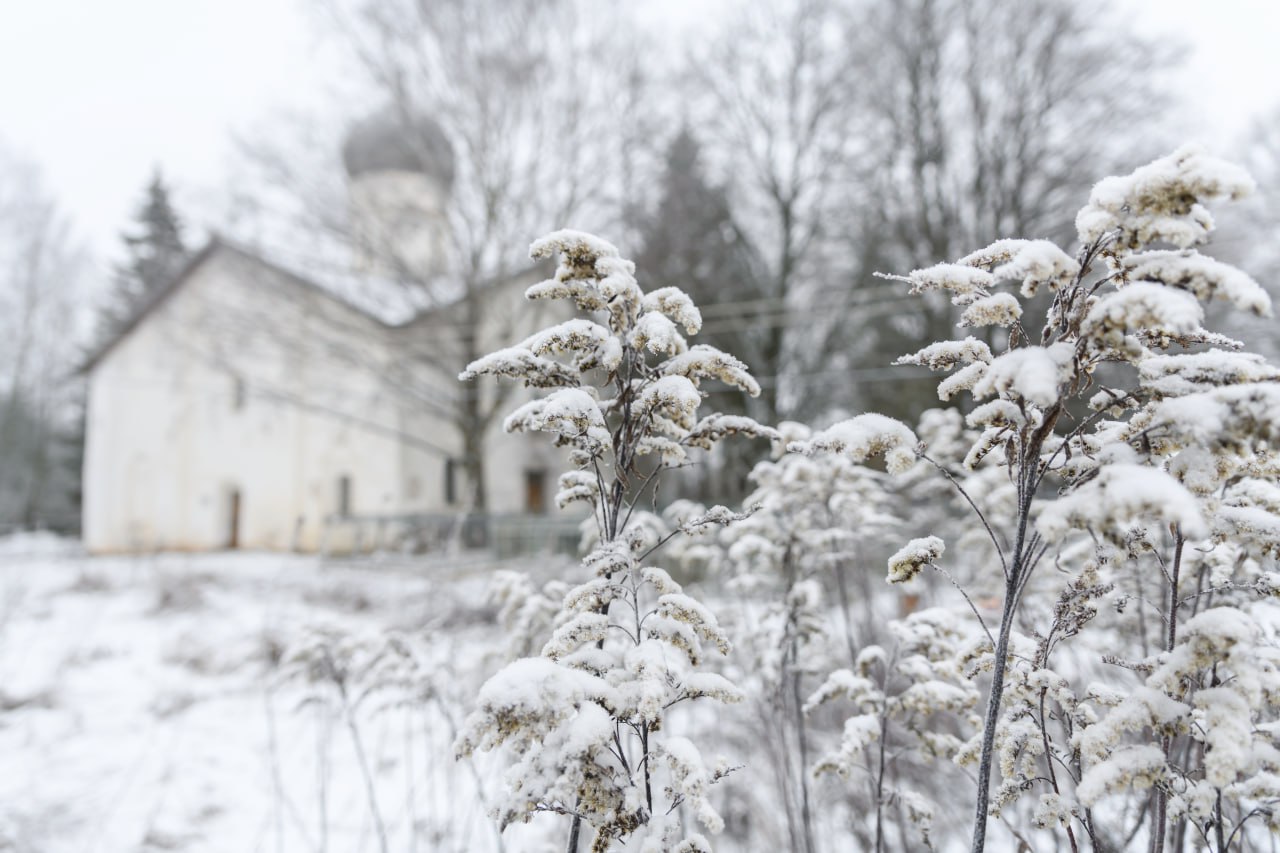Снежная ностальгия. Пока погода никак не устаканится, хочется сохранить эти редкие кадры красивой зимы Снежная ностальгия. Пока погода никак не устаканится, хочется сохранить эти редкие кадры красивой зимы
