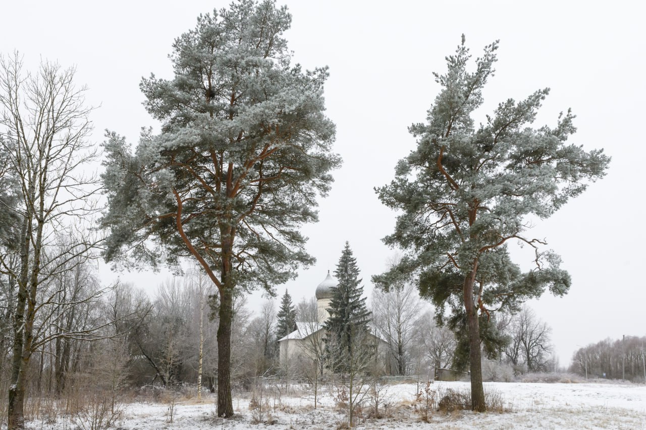 Снежная ностальгия. Пока погода никак не устаканится, хочется сохранить эти редкие кадры красивой зимы Снежная ностальгия. Пока погода никак не устаканится, хочется сохранить эти редкие кадры красивой зимы