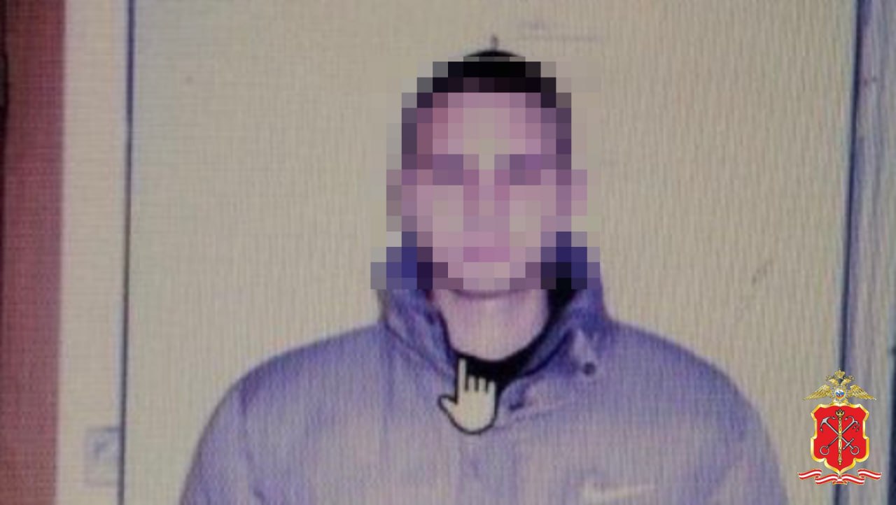 Сотрудники полиции Выборгского района Петербурга установили причастность ранее задержанного по подозрению в мошенничестве к еще одному преступному эпизоду