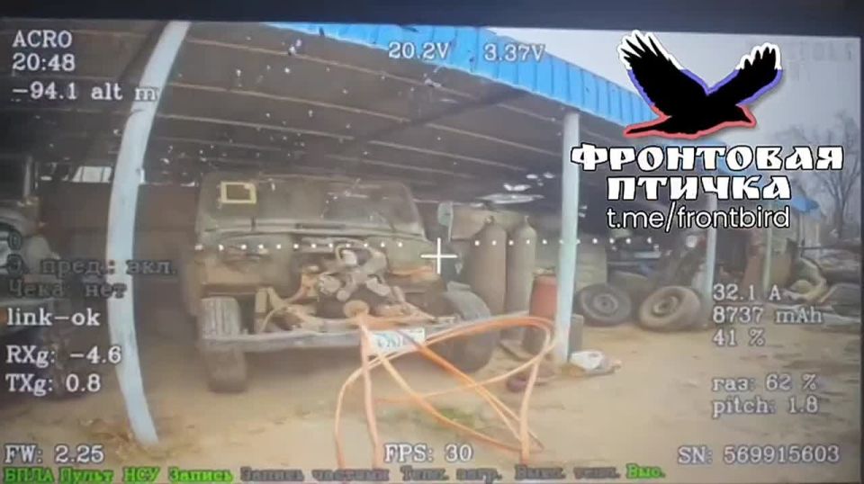 ����������� �����������. ������