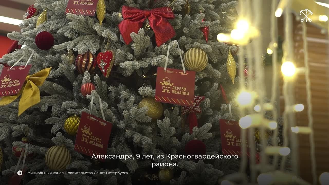 В преддверии Нового года в Петербурге проходит благотворительная акция «Дерево желаний»
