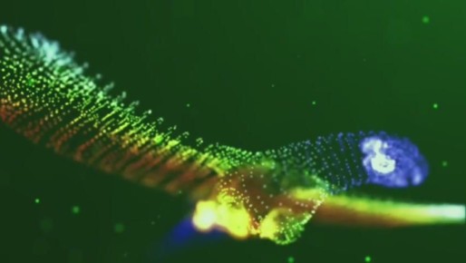 �������� ����������� ���������� �� �����24