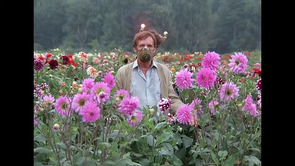 Дмитрий Стешин: Толкуя "Линию":. Судя по частоте употребления слова «подсвинки», его пора вносить в доктринальные документы по внешней политике