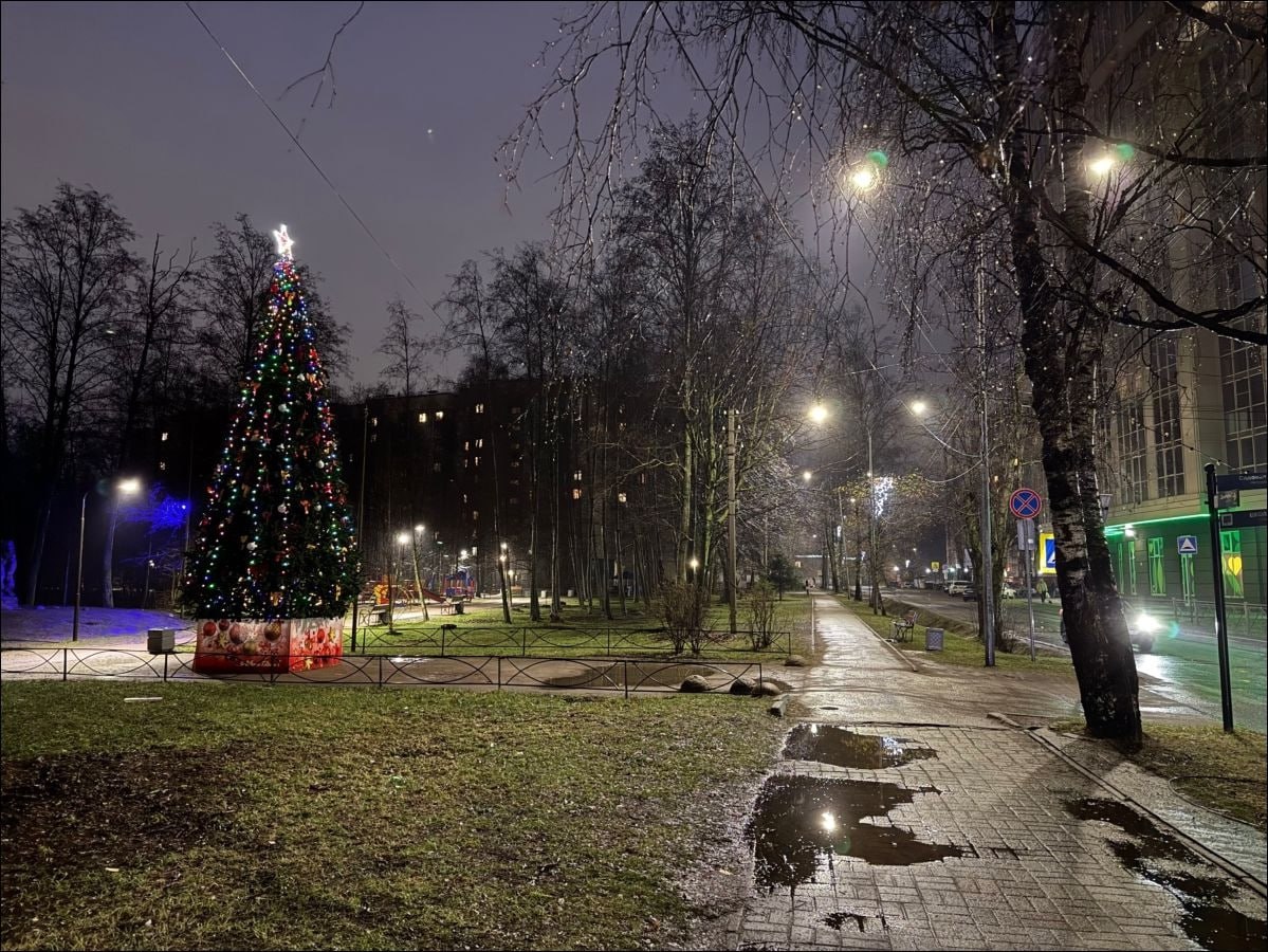 Настоящая зима всё-таки вернется в Петербург Настоящая зима всё-таки вернется в Петербург