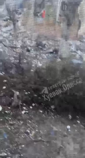 ������ � ������ ����� �������� ������ ������ �������