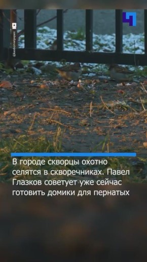 ��-�� ������ ���� ������� �������� �������� � ����������