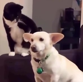 - ������, �����, ��� ������ � �� ���� � �����, ������ � �����: ��� ��� ��� ���� ����� ���, �� ��� �-�� ���� �� ���� �� ����?