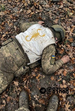 ������� �������: "�������� - �������!"