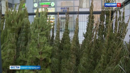 � ���������� ��������� ������� ������