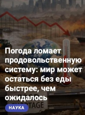 ������ ����������: � ����� ���������� ���������� �������� ���� �������� � ��������� ������������ ����