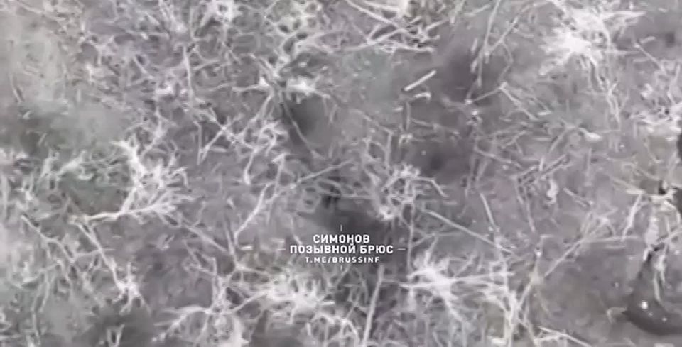 ���� � ���� ����� ��������� ����� ������