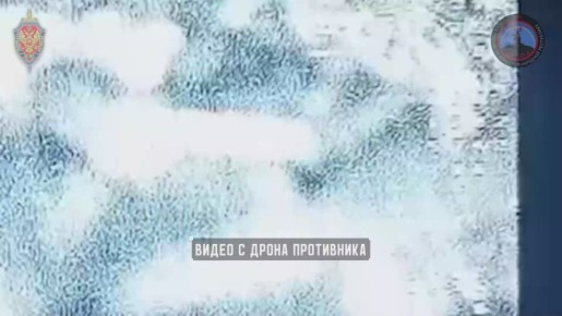 Системой РЭБ «Купол Донбасса» за неделю предотвращены 252 террористические атаки со стороны противника
