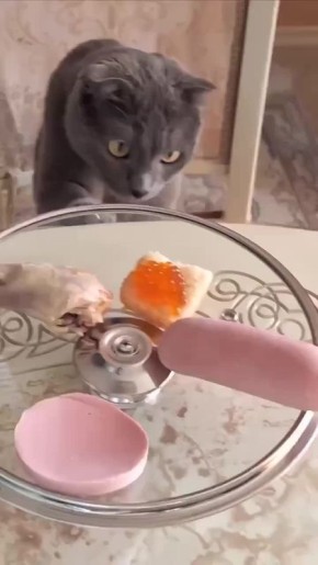 ������ ����������: ��� ������� ����� �� �������?