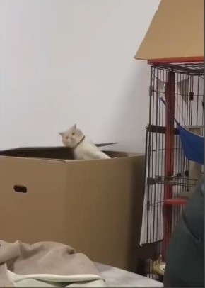 ���� � �������. ��� ��� ����� � ������ ������, ����� ��� � ������, ������ � ����: ������ �� �����������, �� ��������