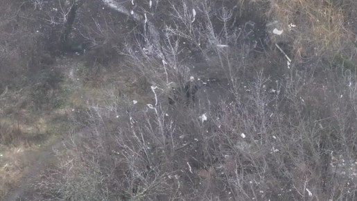 ���� ��������: ����� 34-� ����������� �������������� ������� ����������� ������ ���������� ���� ������� � ������� ������� � �������� ��� �� ������� ���� ����������, ���������� � ������� �����������