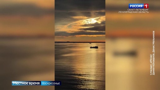 ��������� 71-� ���������� �������������� ���������� ������� �� ������� "��������"