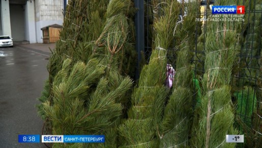 � 14 ������� ���������� ���������� ����������� ������� ������