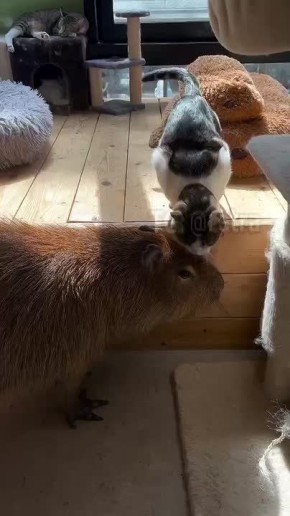 ��� � ��������: ������ ������� ����! �� ����, ��� ���� ������