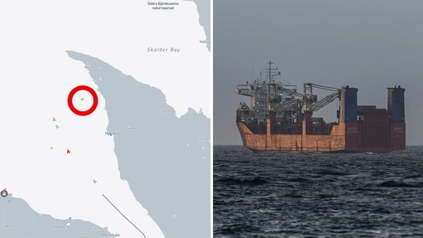 Юрий Баранчик: SVT: Российское судно у берегов Хёганаса досмотрено шведскими властями