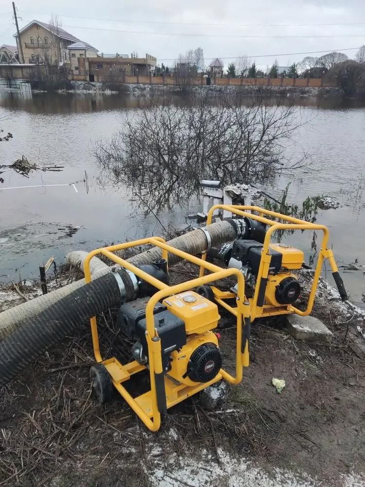 Поселок Красная Заря под Всеволожском затопила канализация
