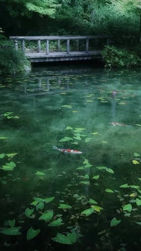 ��������� ����, ������!. ������