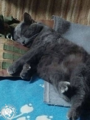 ��� ������: ������� ������ �������