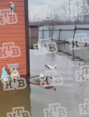 ���� ����� ������ ��� �� ���