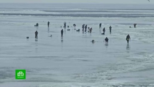 ���� ������� ������� � �������� ���������� � ������ �������