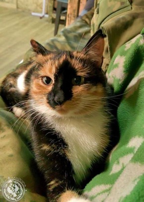 ��� ������: ������� ������ �������