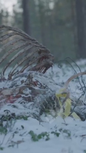 ������ ����������: ��� ��������� �� ������ �����