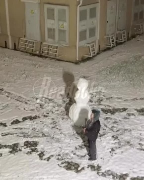 ����� ������ ������ ���������� � ���� ������ ����������� �� ������ ���������