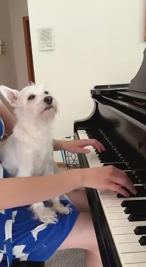 ��������� ����, ������!. ������